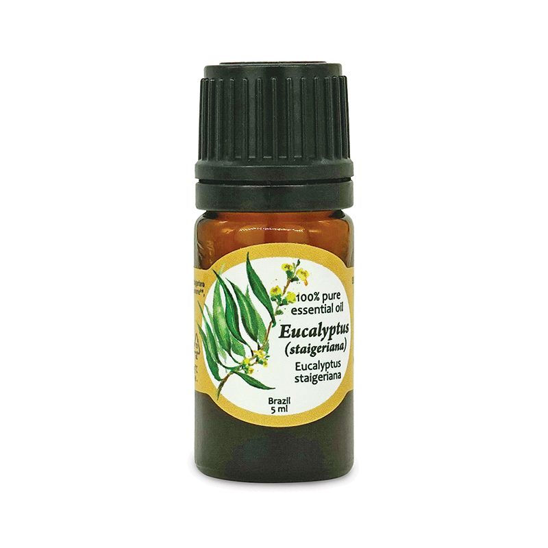 Aromama 100% pure essential oil Eucalyptus (staigeriana) 5 ml VEGAN