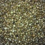 Hemp Seed oil, cold pressed, 200 ml / VEGAN