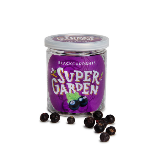 supergarden-freeze-dried-blackcurrant