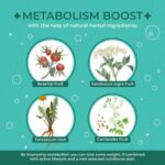 ACORUS Metabolism herbal tea, 2g x 30 - Image 4