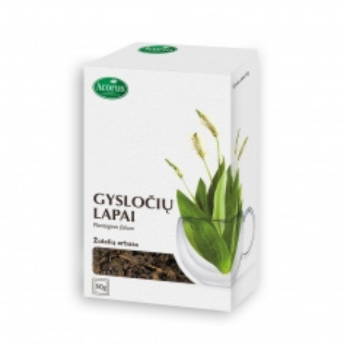 plantain-leaf-herbal-tea