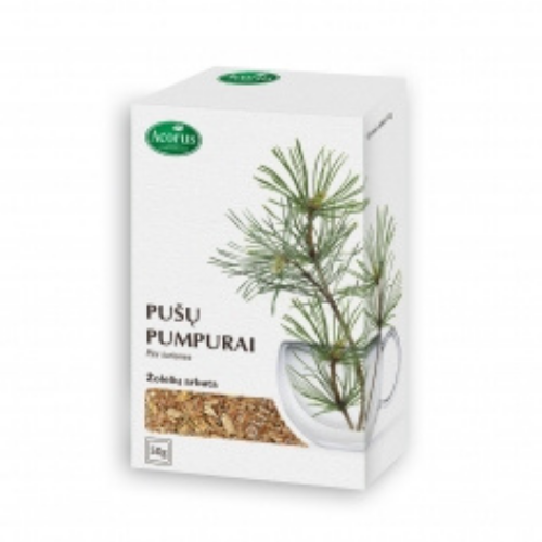 pine-bud-herbal-tea