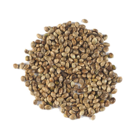 alvo-hemp-seeds