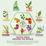 acorus-travel-tea-set-assortment