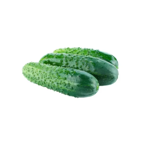 Fresh short cucumber, 1kg / by weight / store collection only - Image 1
